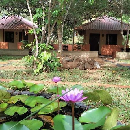 Hotel Niyagala Lodge Sigiriya Exteriér fotografie
