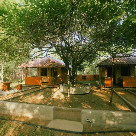 Niyagala Lodge Sigiriya Exteriér fotografie