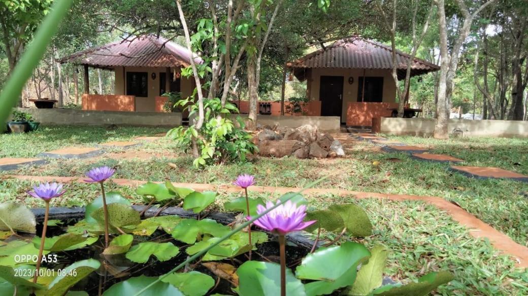 Niyagala Lodge Sigiriya Exteriér fotografie