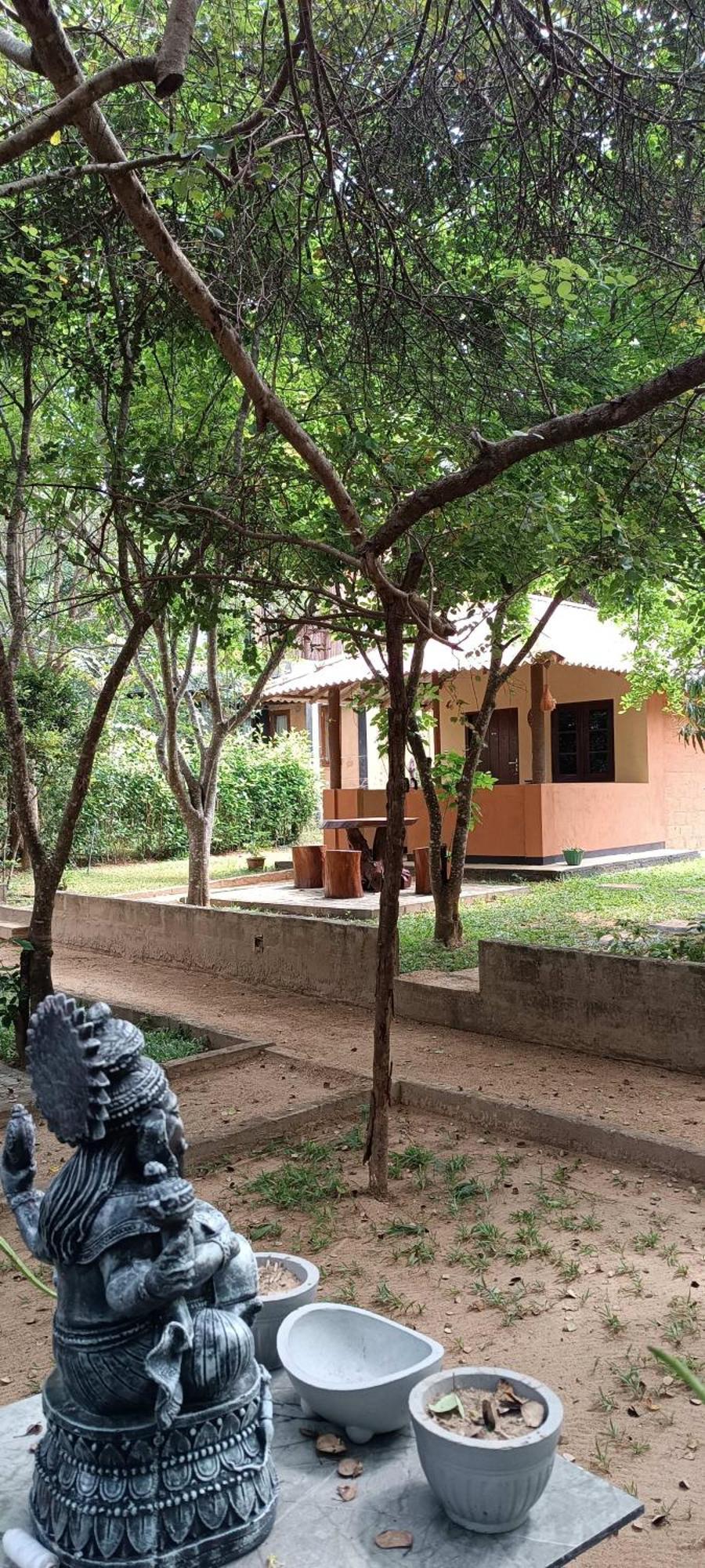 Hotel Niyagala Lodge Sigiriya Exteriér fotografie