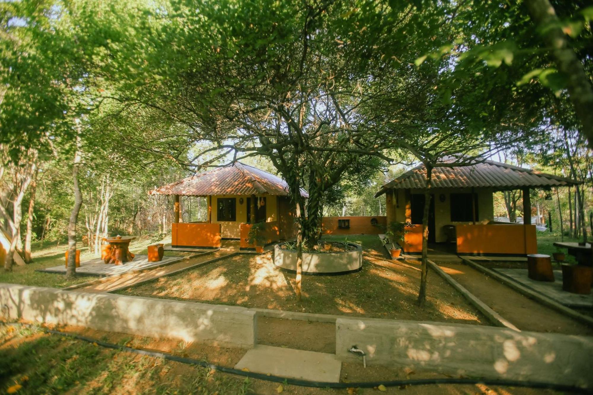Hotel Niyagala Lodge Sigiriya Exteriér fotografie