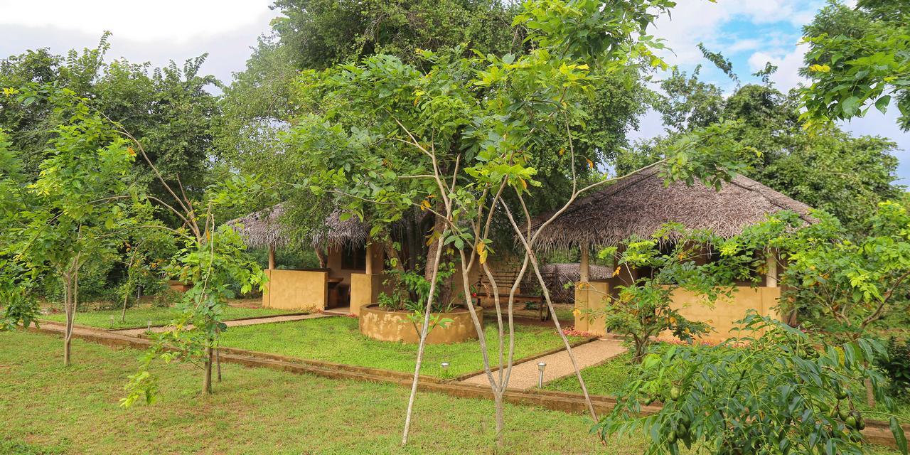 Hotel Niyagala Lodge Sigiriya Exteriér fotografie