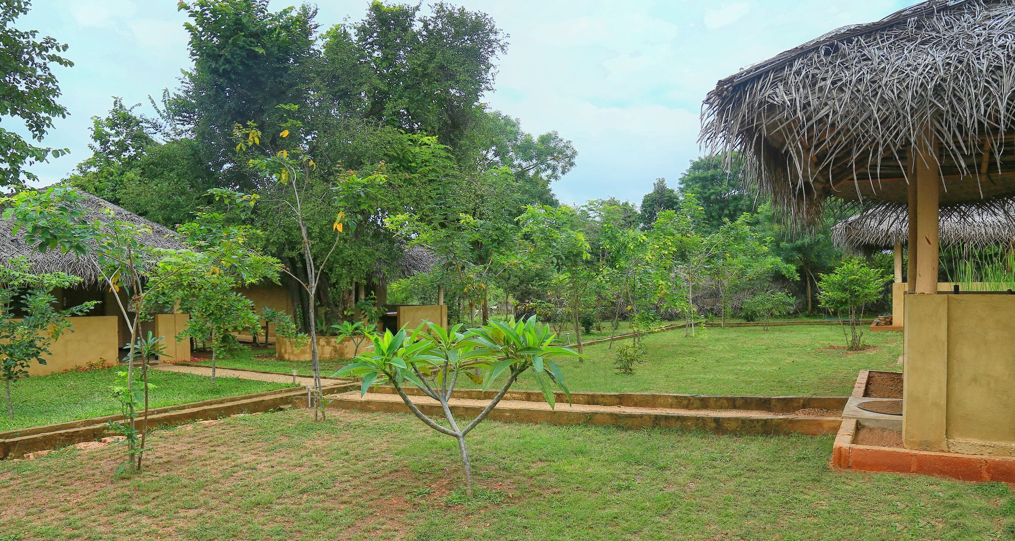 Hotel Niyagala Lodge Sigiriya Exteriér fotografie