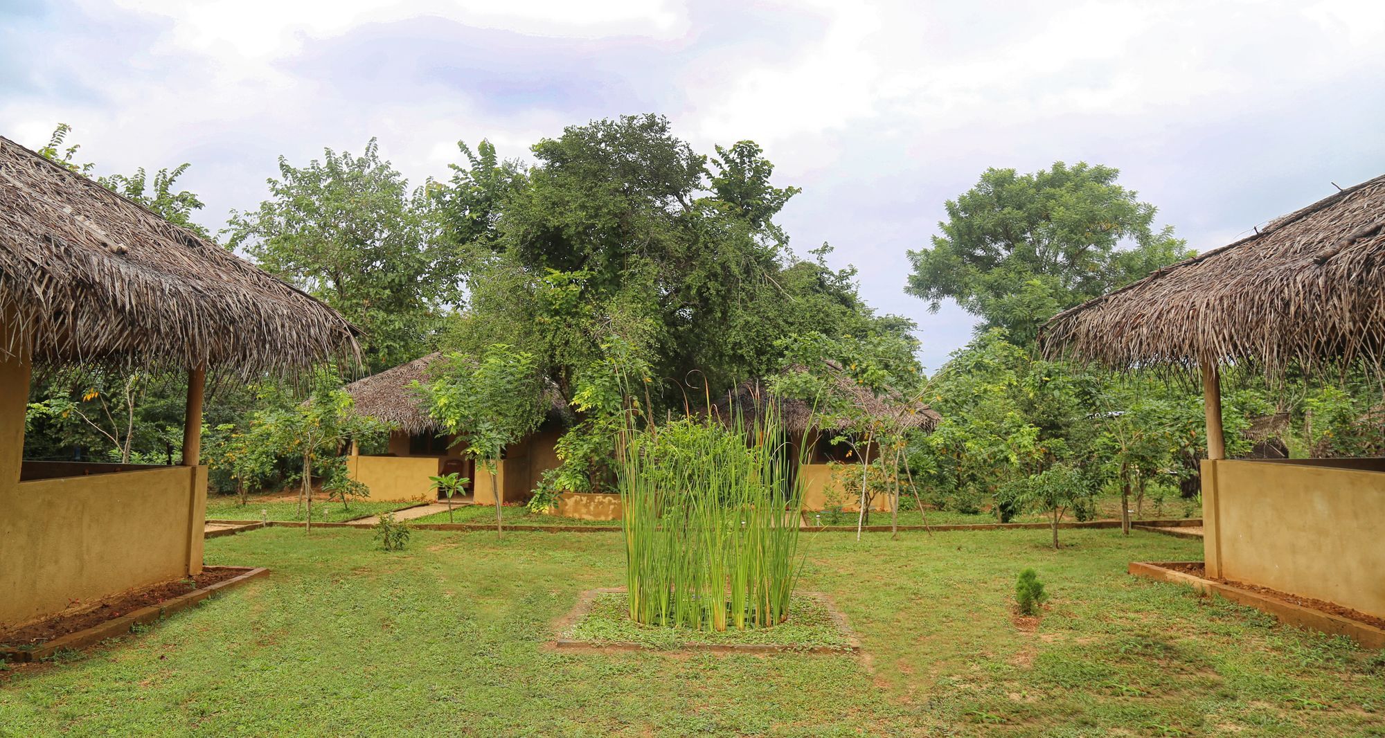 Hotel Niyagala Lodge Sigiriya Exteriér fotografie